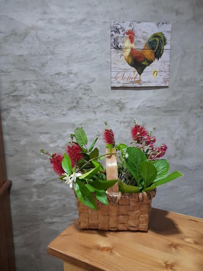 Casa Dona Eufemia Bed & Breakfast Pinhão Dış mekan fotoğraf